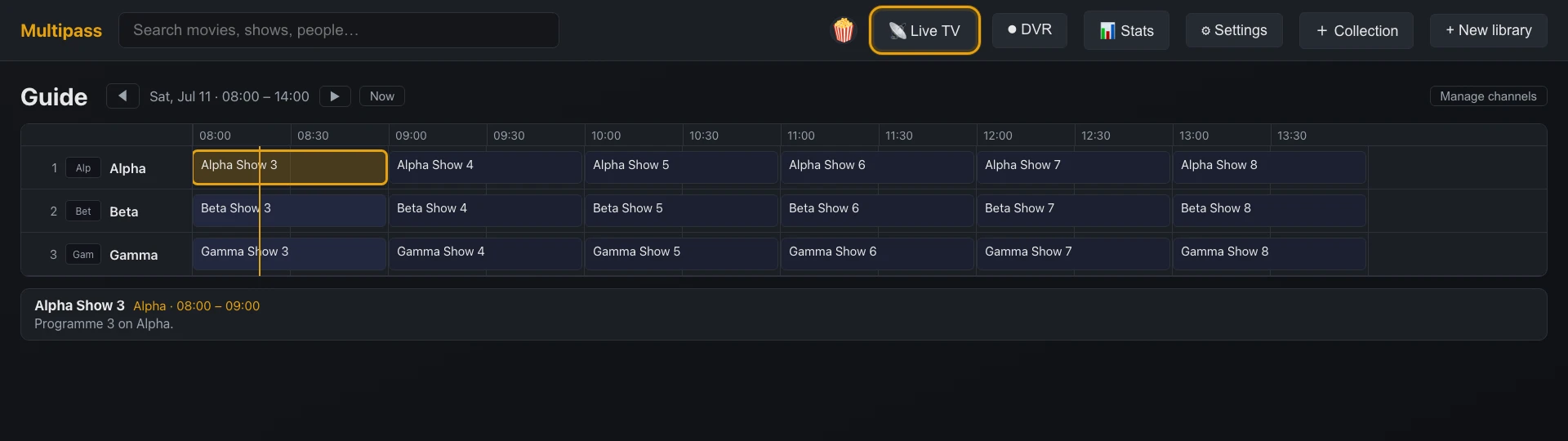 The channels-by-time guide grid with a programme focused